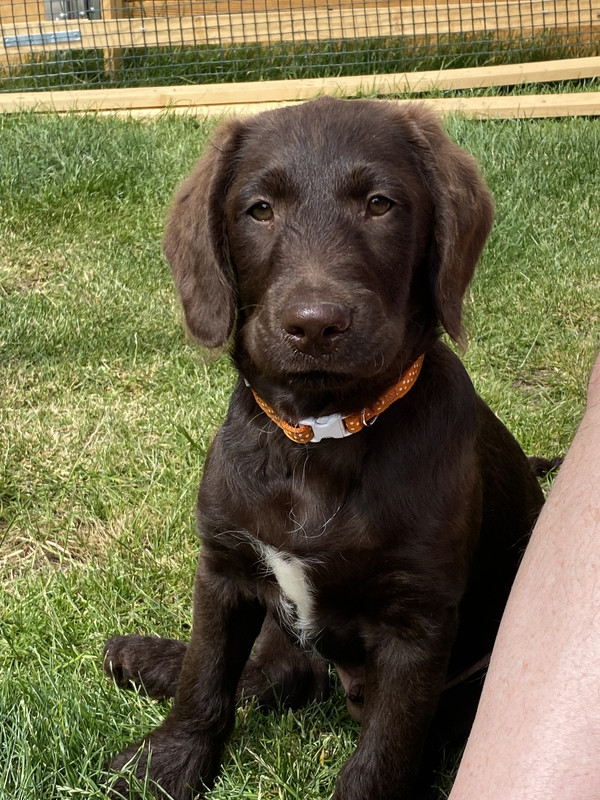 3C55A24C-4287-4B05-85F2-C7F0F2B047AF