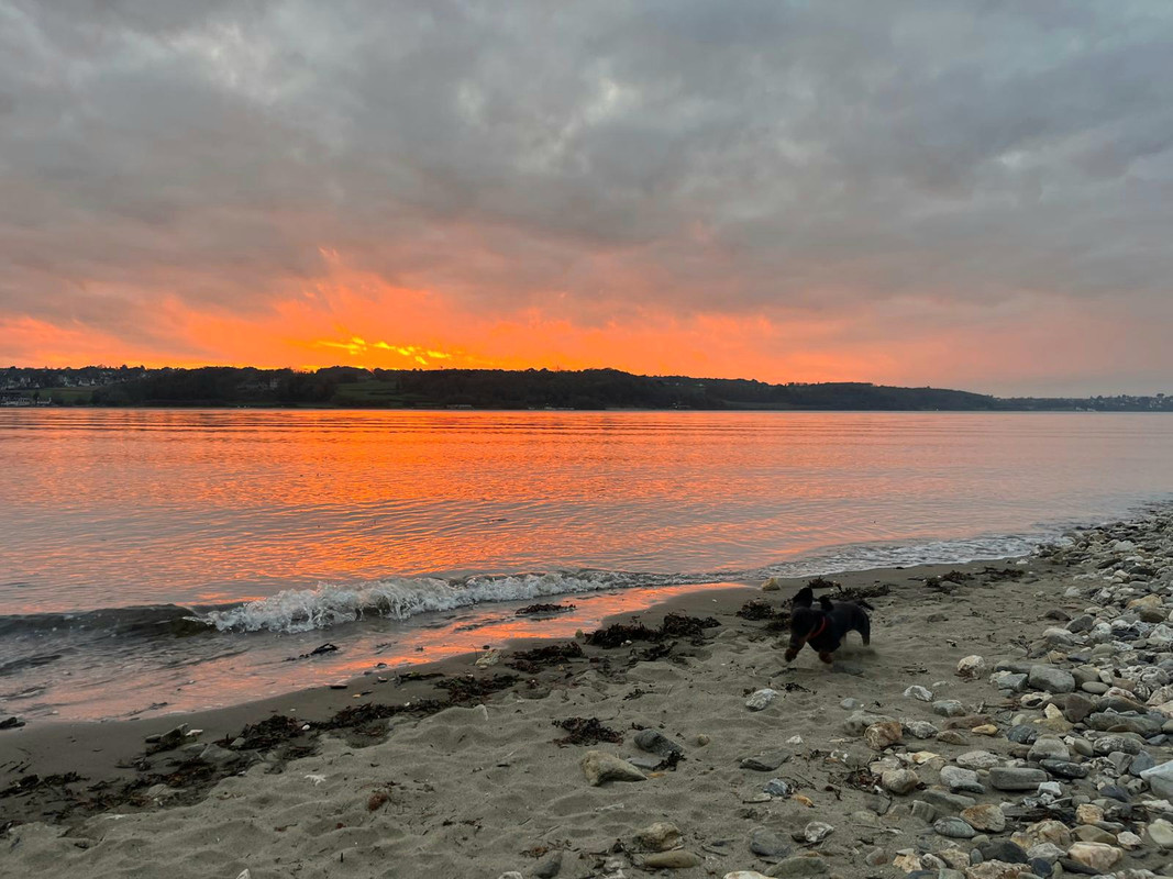 [Image: IMG-20241115-WA0005.jpg]