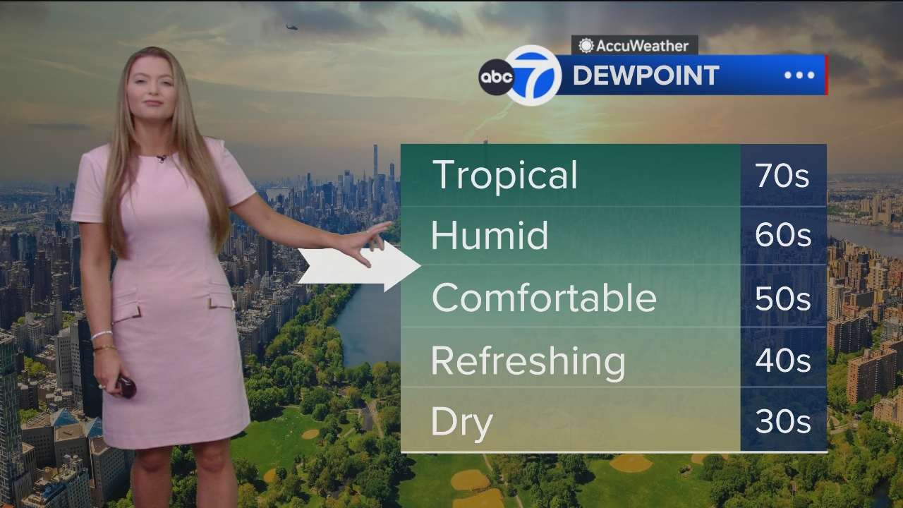 Eyewitness News Mornings at 10_20240719_15001600.ts_snapshot_00.35.33.967