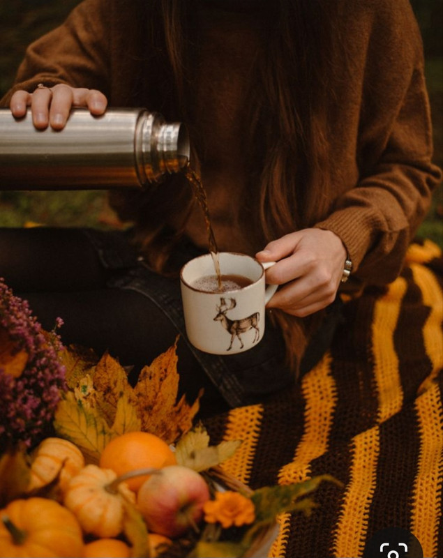 Screenshot_20231127_223007_Pinterest