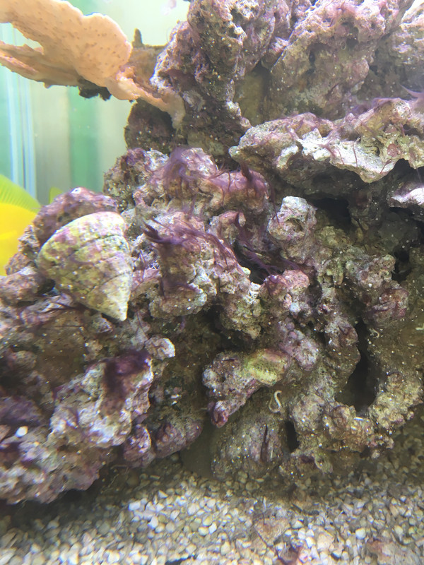 63E24797-5C84-4BF0-A9AA-739842FF6C56