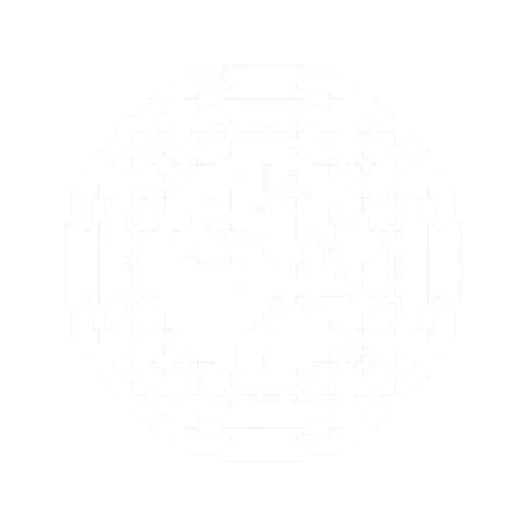 The Aria plane portrait