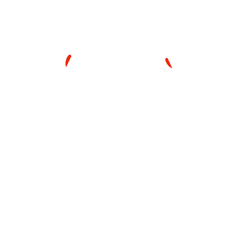 OpalView Holiday Logo