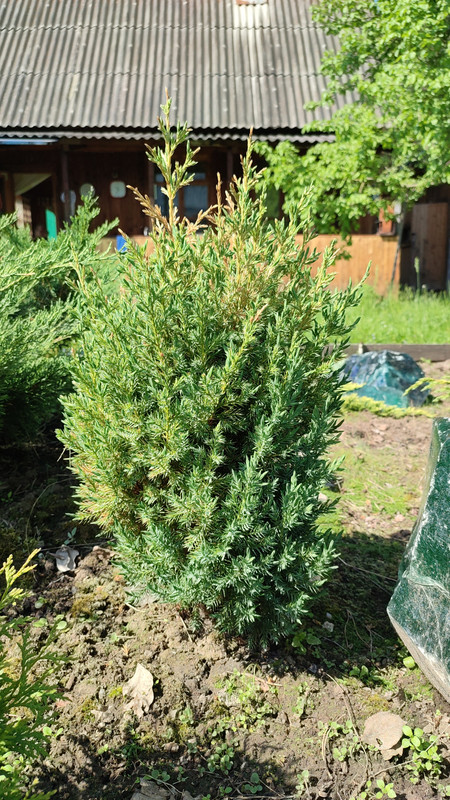 IMG_2023_06_09_10_35_03_3893277420733436752236