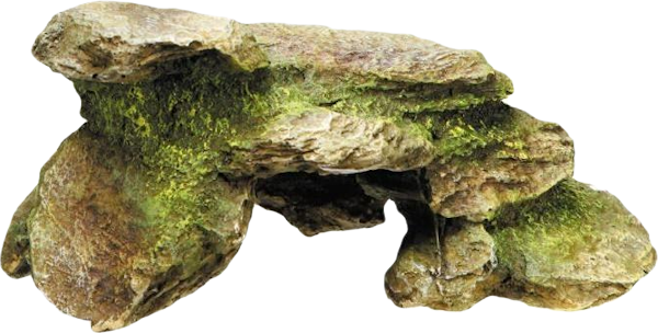 Elements (11)