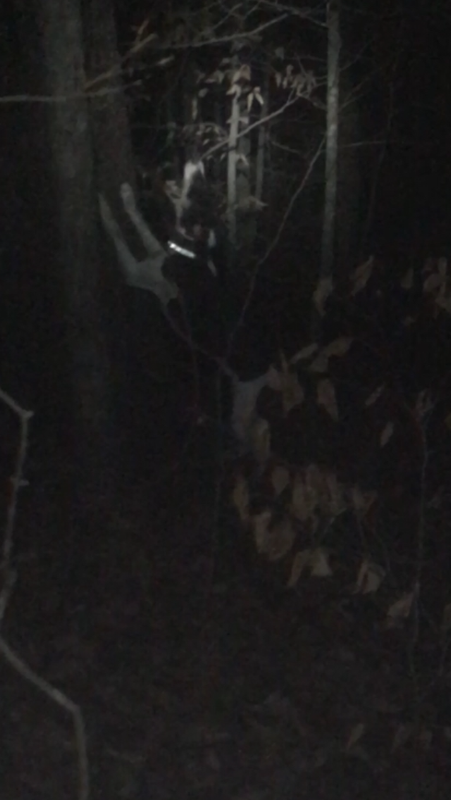 9D964B4D-F697-40B0-BCA6-410DA13581E9