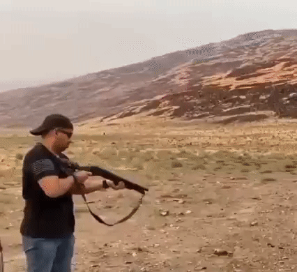 https://i.postimg.cc/Pq2w4z91/2.gif