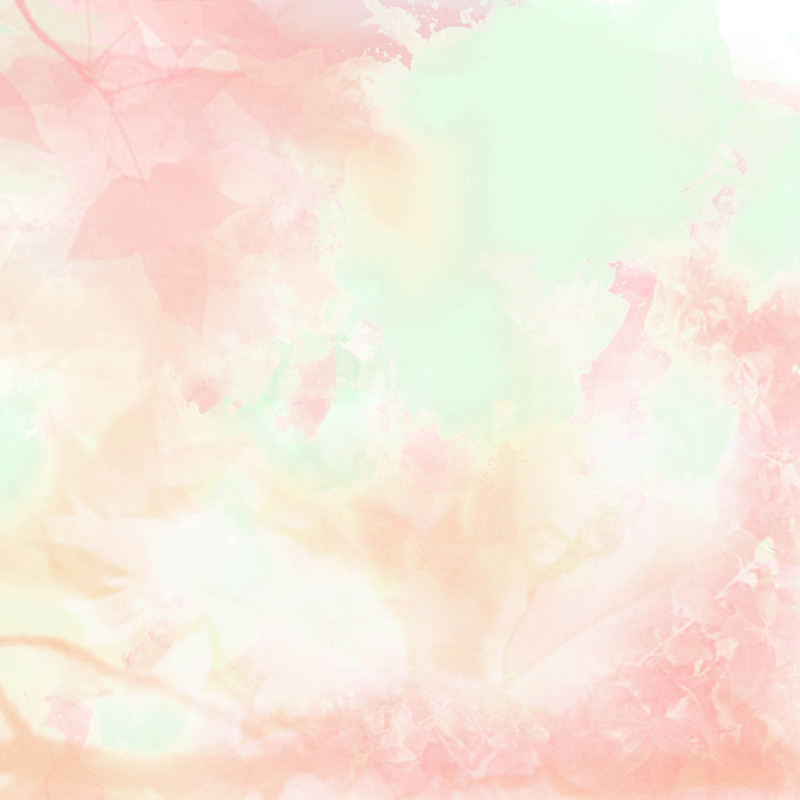 WeddingDayWithTheFriendsOfTheForest_KS_pp (1)