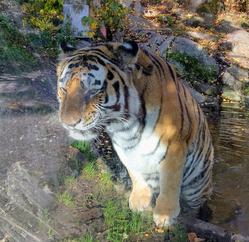 560630404_10231724408986436_8457938248476942358_n