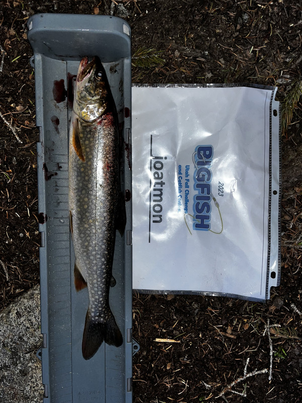 FE4FD075-F288-4F98-A9CA-91ACD6799D8B