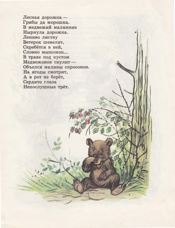 Belozerov-Timofej-Lesnoj-plakunchik-1988-page-0011