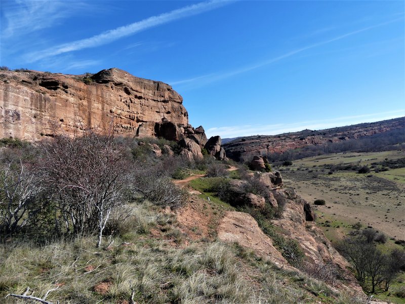 YACIMIENTO ARQUEOLOGICO DE TIERMES-16-2-2020 - Soria y sus pueblos-2010/2013/2020 (79)