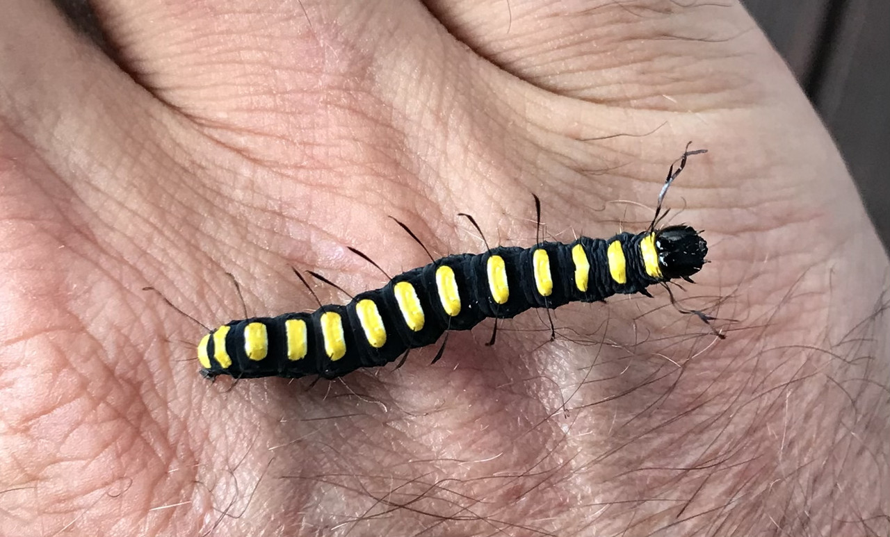 BC612DDF-5BC4-4CB2-8331-8465681EC993