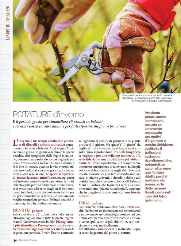 Pol Ver Gen-Feb 2022 (9)