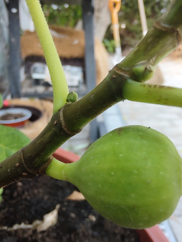 IMG_20230813_170245397