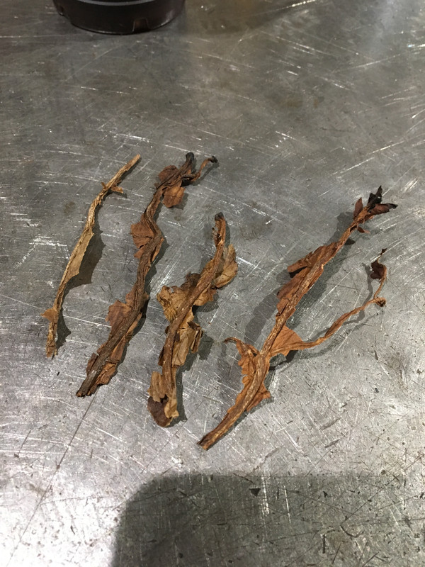 42E0E3C1-48F0-4662-B6C5-FA21C3EC9501