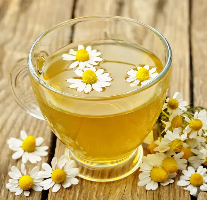 Chamomile tea as a shampoo