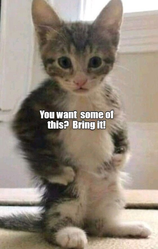 bring-it