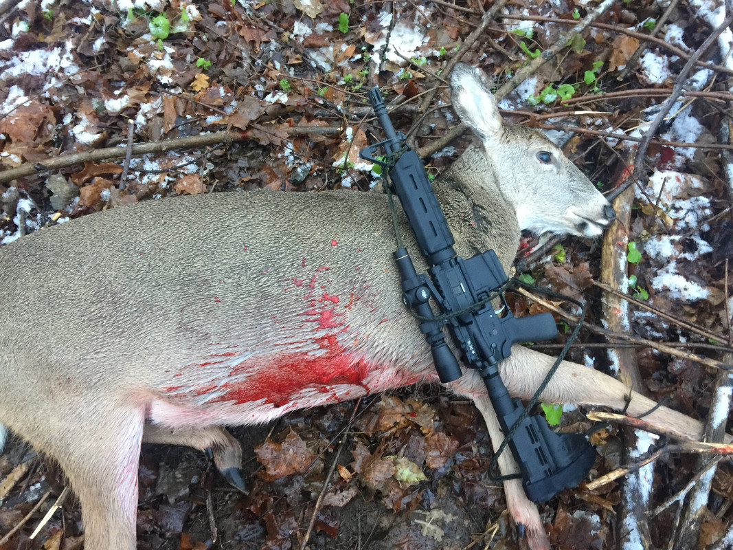 BCFA7766-1796-4D7C-A5EA-55677AB824A9