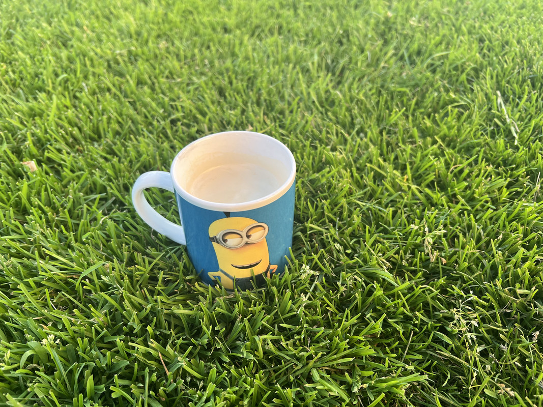 1F65A2C8-4C13-4C84-8EE9-FE9F3524B193