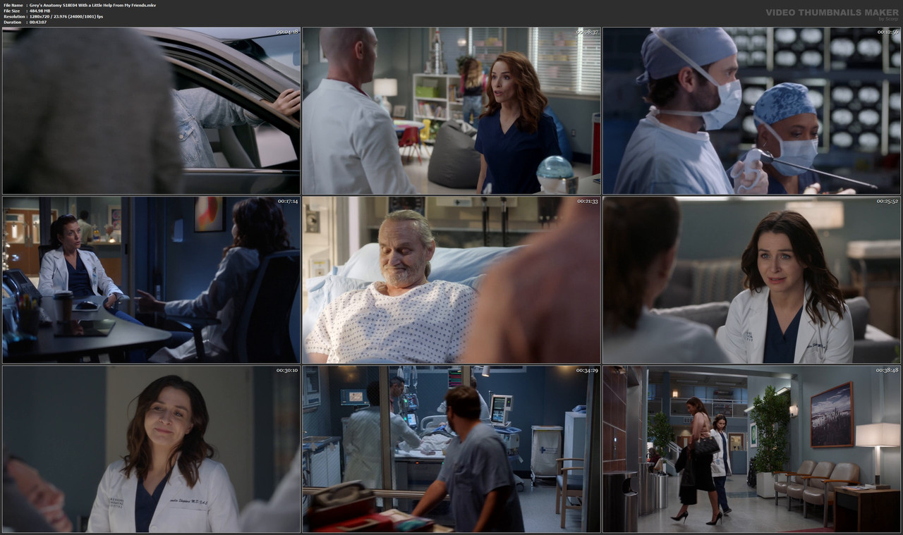 Grey's Anatomy S18E04 With a Little Help From My Friends.mkv
