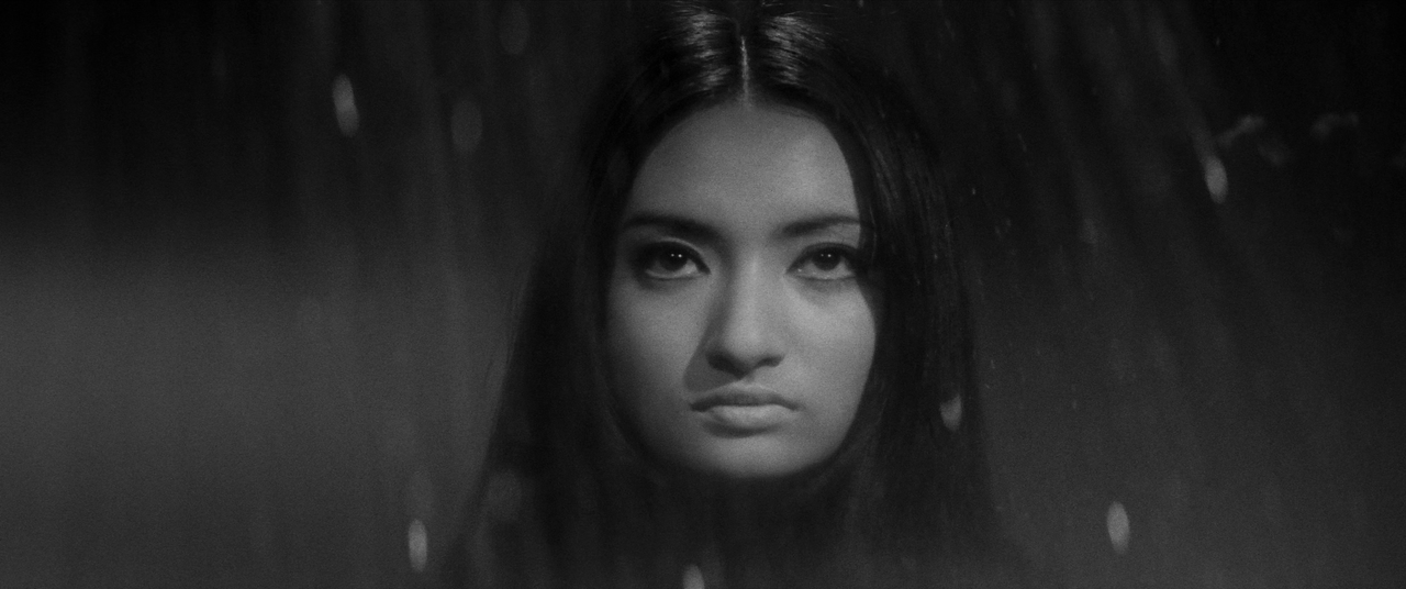 vlcsnap-2025-01-21-02h41m24s234