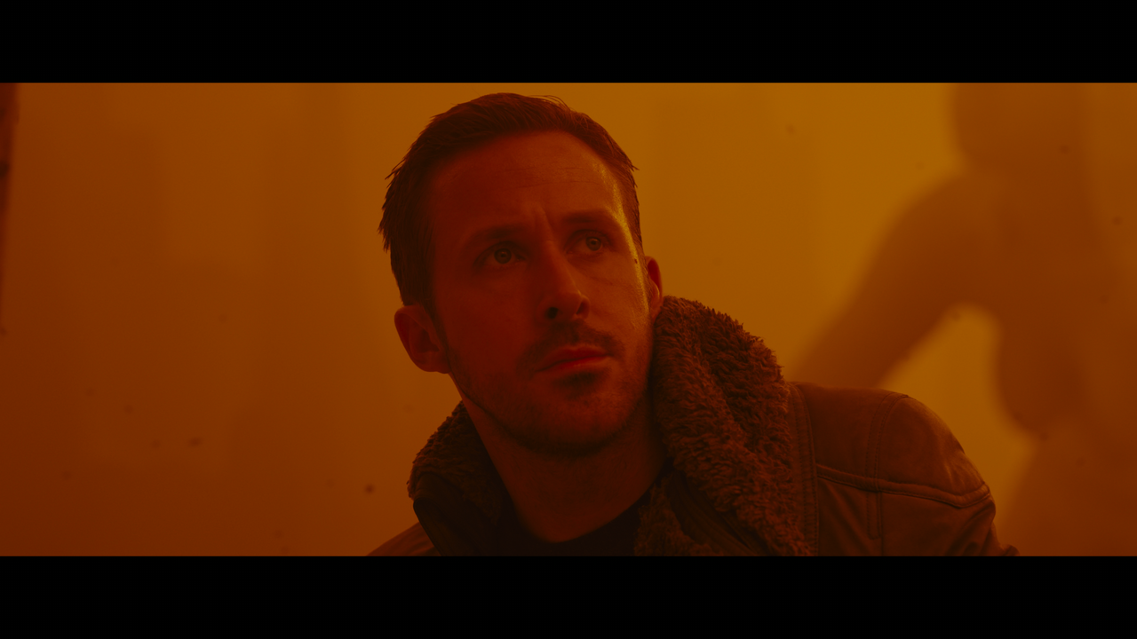 Blade.Runner.2049.2017.2160p.UHD.BDRemux.TrueHD.Atmos.HDR.DoVi.Hybrid.P8.by.DVT.mkv_snapshot_01.42.1