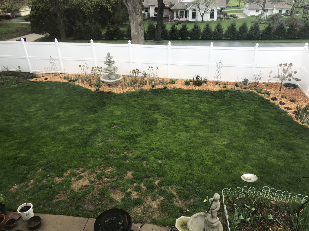 C15A0B54-BF70-412E-89C9-5EF80A668BC2