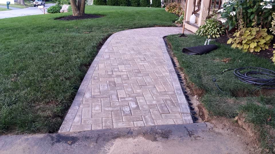 11694743_710273072452641_2476952116597728818_n