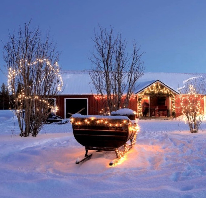 Screenshot_20231108_215630_Instagram