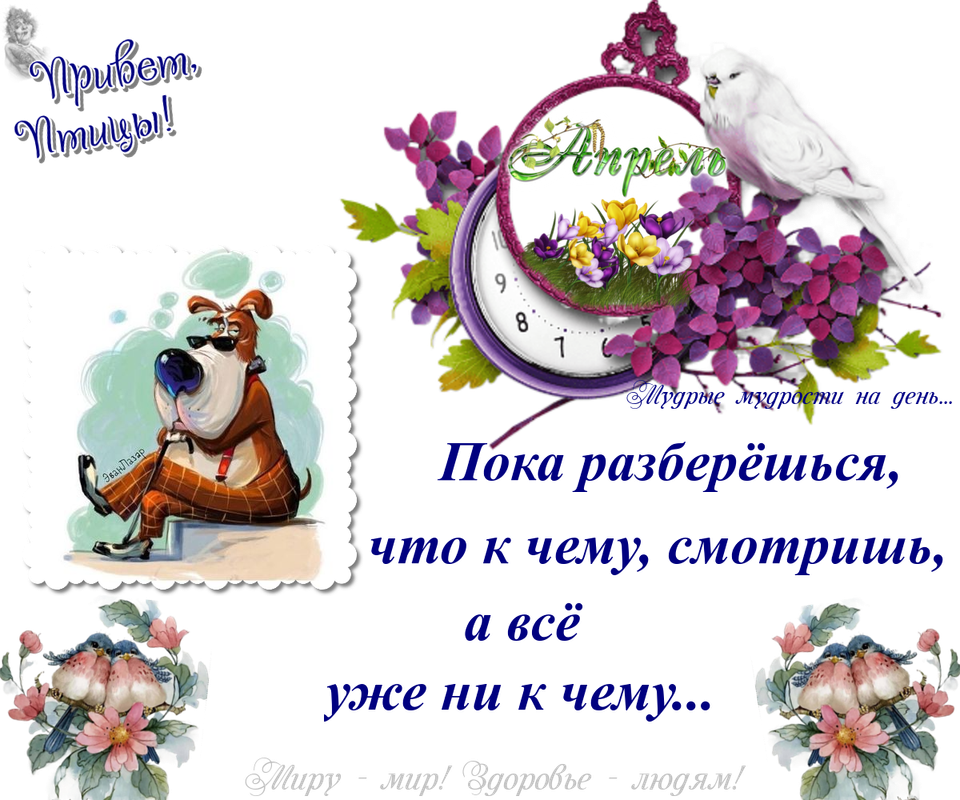 https://i.postimg.cc/Pq6pjtm9/18-04.png