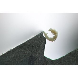 Iwasaki 8in Extreme Flat Fine Cut File Chip