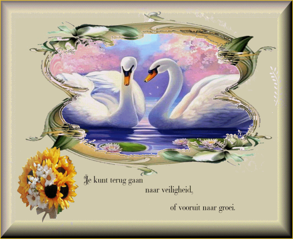 middenplaatje-1-juli-2021