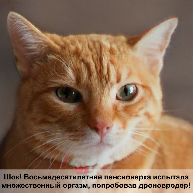 адвантейдж для кошек инструкция