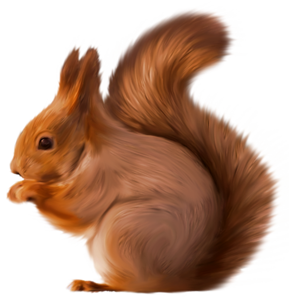 TADD_elements_ShimmerFall (70)