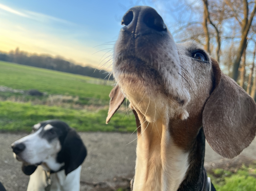 6B047CB8-703B-445A-99A4-5BDD6313C853