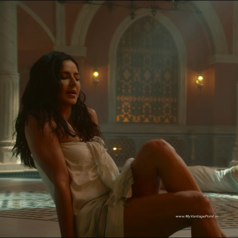 23-Katrina-Kaif-in-Tiger-3-2023-Movie-My-Vantage-Point