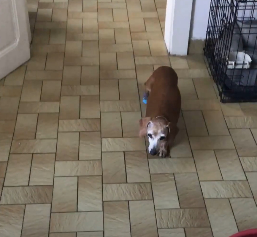 [Image: 9-E3-B9501-2-DFF-46-D9-AF42-E09-E62-D6072-B.jpg]