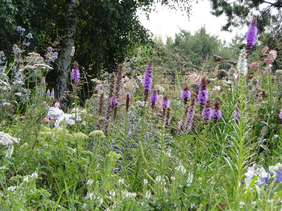 DSC03561