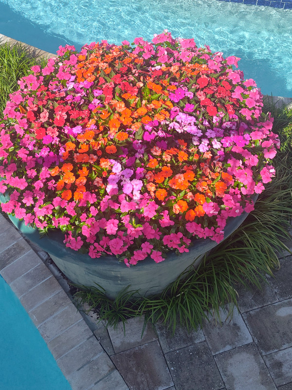 IMG_20250609_090714459_HDR