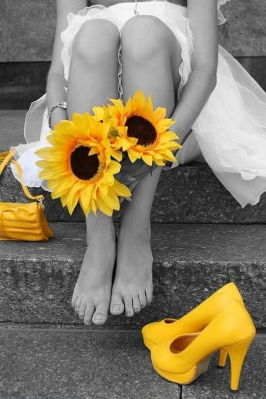 yellowshoesunflowers.jpg