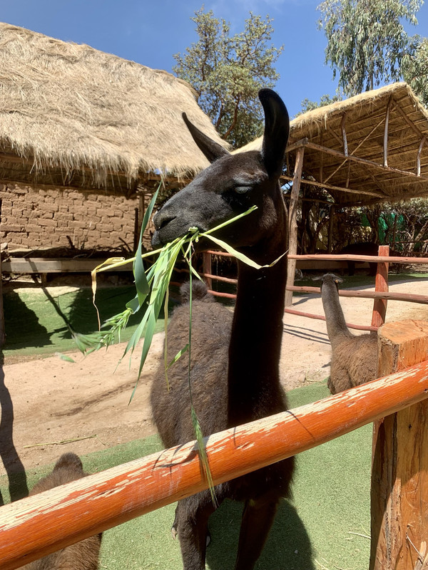 954D2A57-049A-4266-BD5E-2507BD7DFFBB