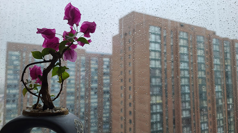 [Image: 20220822-102149.jpg]