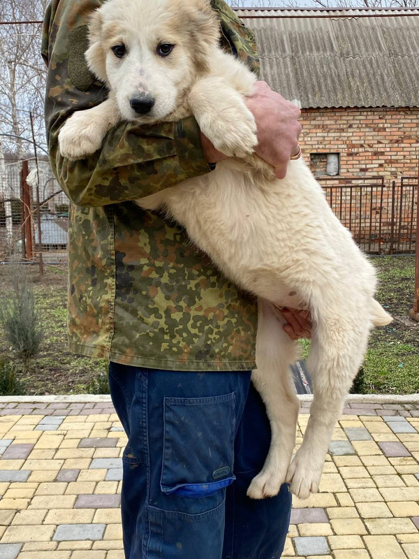 9772DC6F-F1CE-4BDF-8C0D-4FEA9B686CA1