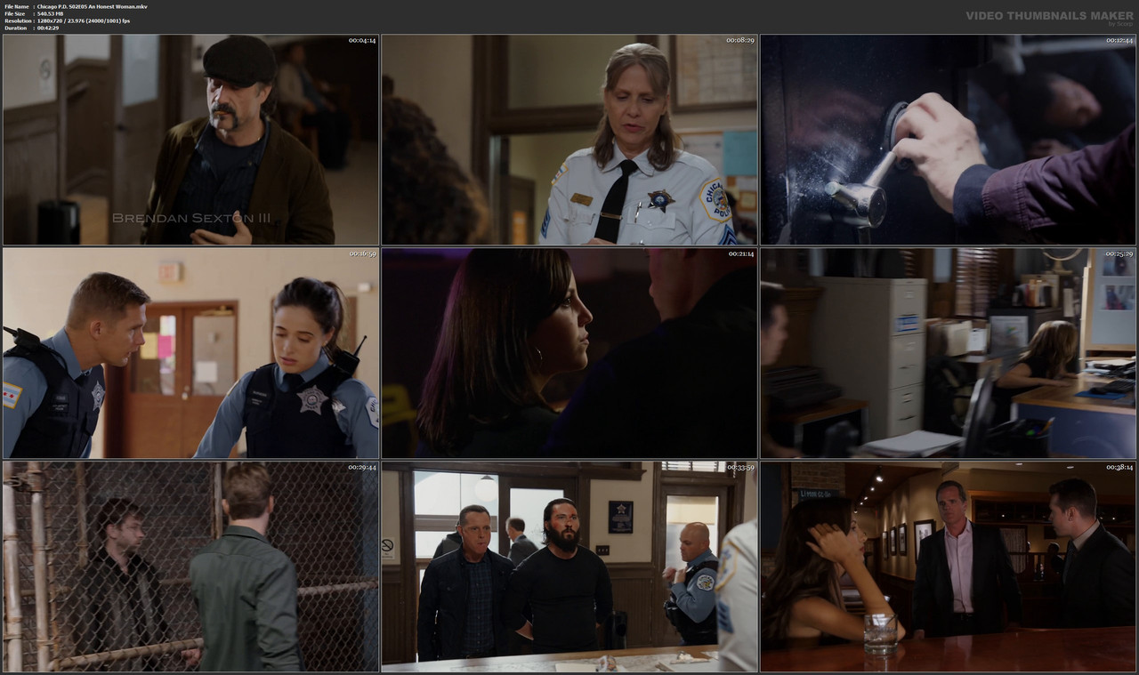 Chicago P.D. S02E05 An Honest Woman.mkv