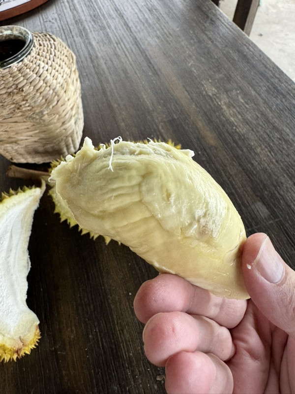 F0DEA56B 74F3 4A7B A334 8E9EC5E585DA 1 105 c