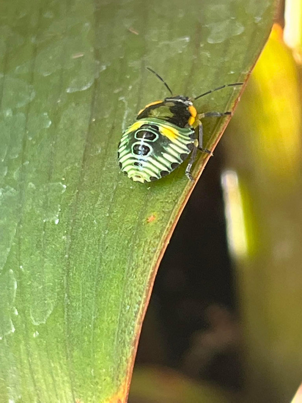 B32B0F2D-81C2-4478-BB28-6D2189C3913E