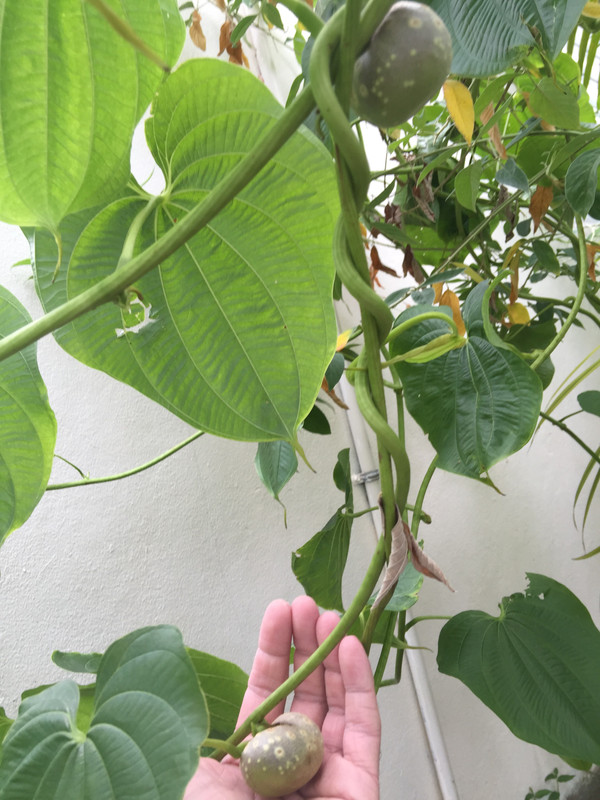 561974DF-6AFA-48BC-98CB-184AD08EF1FB