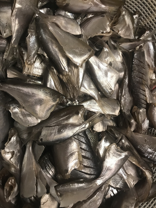 EC3AB89A-5460-44DF-BC71-41081E39905A