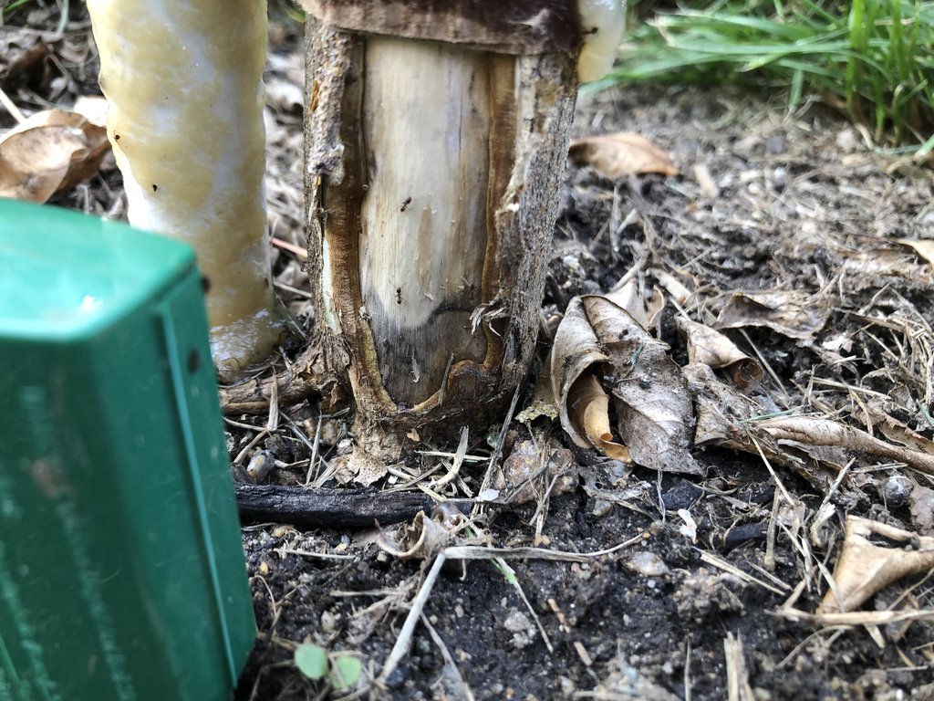 1FA95AC6-B433-48AB-85F9-25412026F1B1